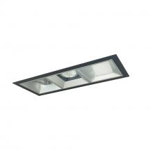 Nora NMIOT-13-B-WWW-50X-10-HZ - Iolite MLS 3-Head Trim Kit, Black Flange, 5000K, 1000lm, Haze Wall Wash Trims