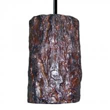 A-19 PN20302 - Bark Pendant