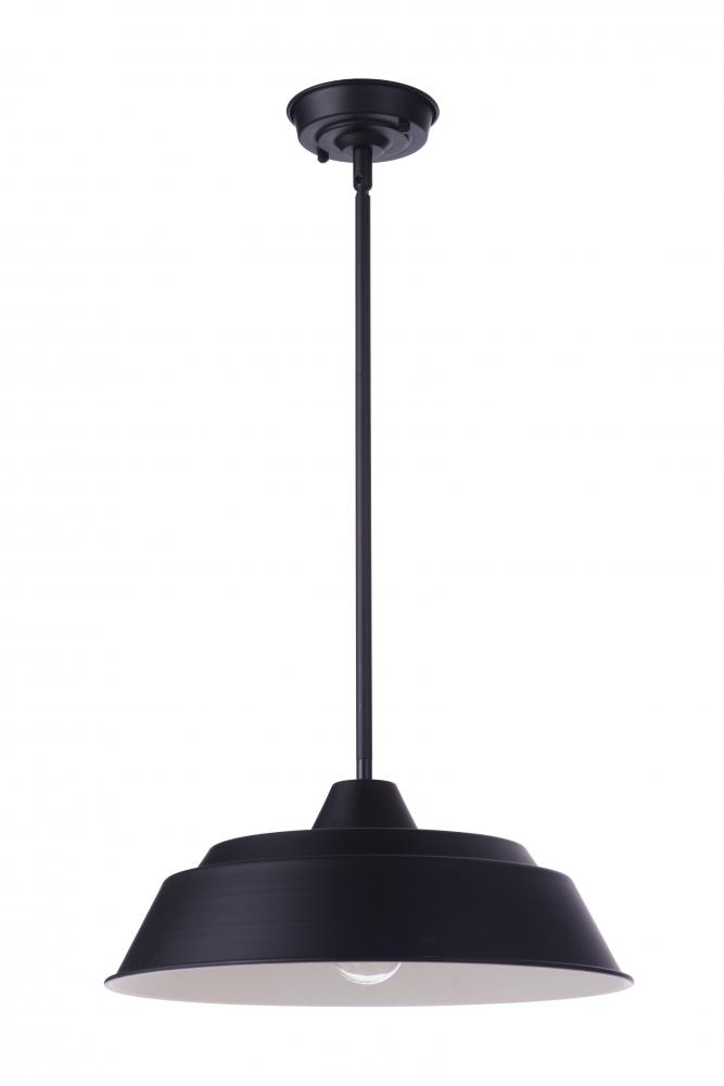 1 Light Pendant